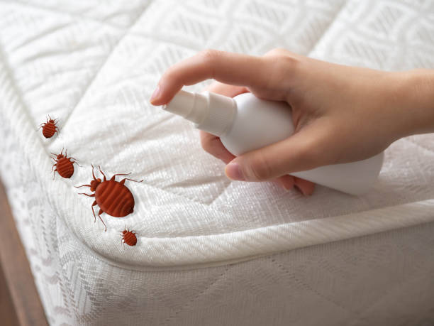 Emergency Pest Control in Heppner, OR